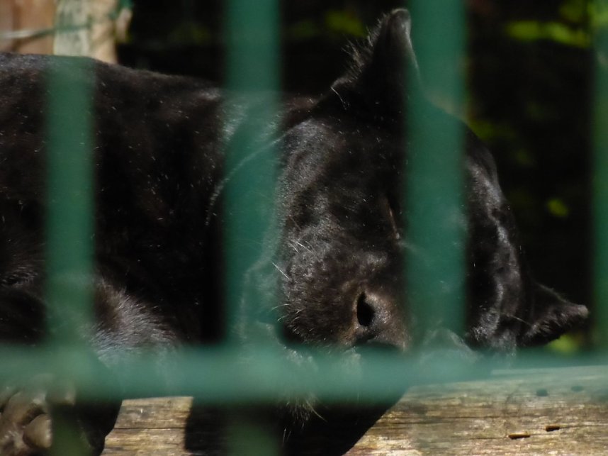Besuch im Zoo von Aschersleben