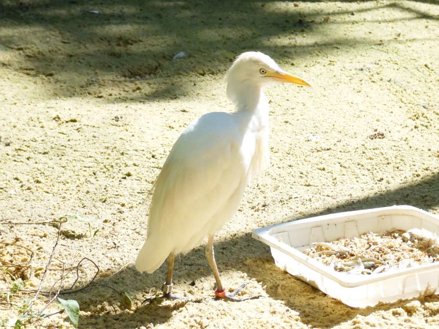Besuch im Zoo von Aschersleben