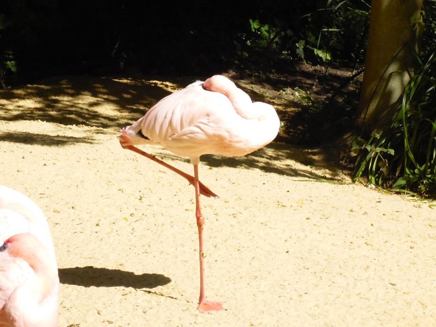 Besuch im Zoo von Aschersleben