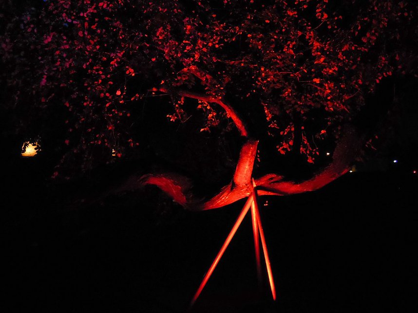 Lichterfest auf dem Petersberg