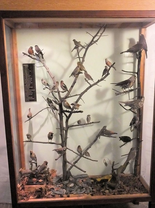 Sch&auml;tze im Schloss Ballenstedt