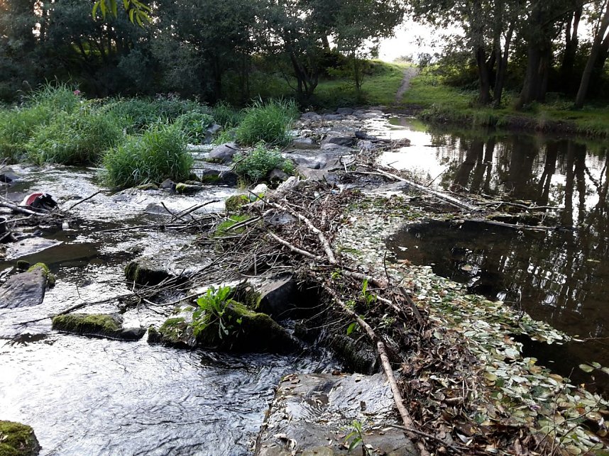 Rundgang an der Zorge