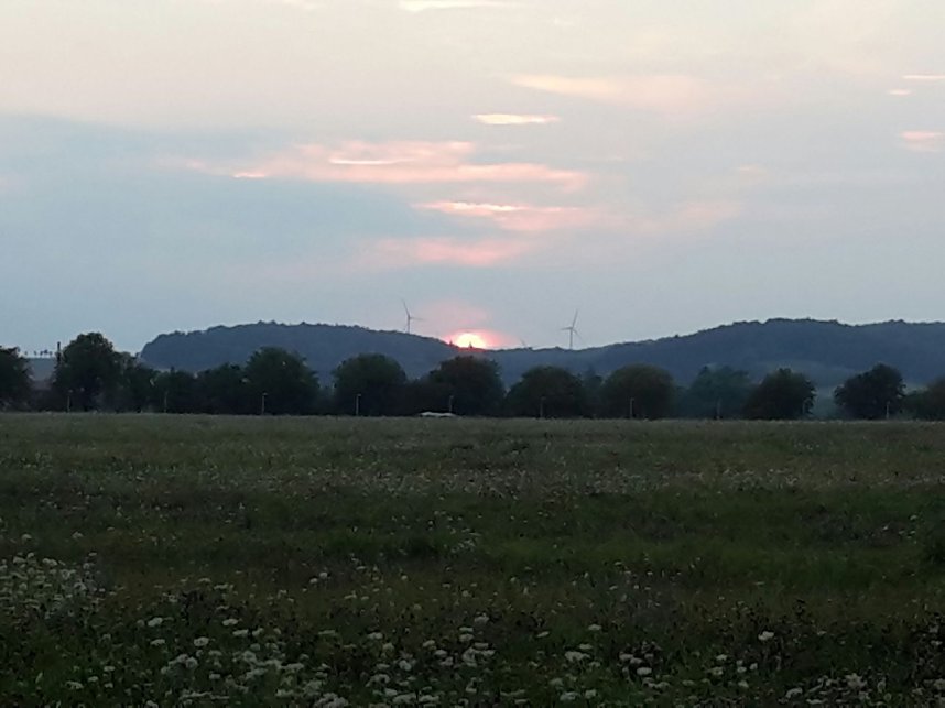 Rundgang an der Zorge