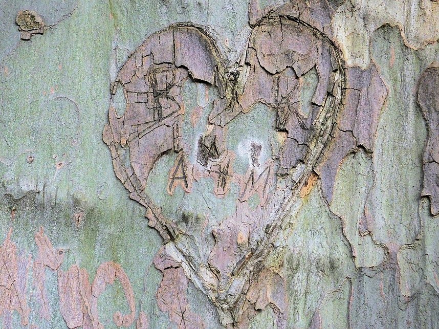 Schloss und Kirche in Sondershausen