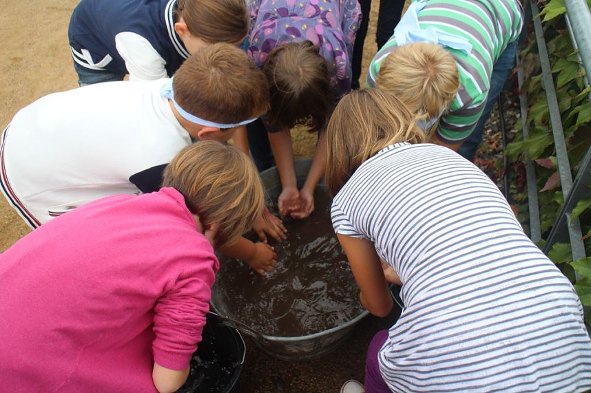 Bibelolympiade auf dem Petersberg