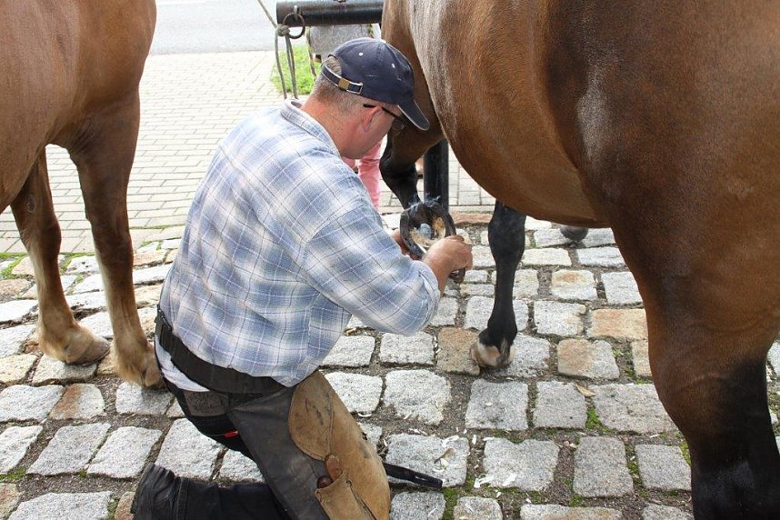 Tag des offenen Denkmals in der Alten Schmiede in Obergebra