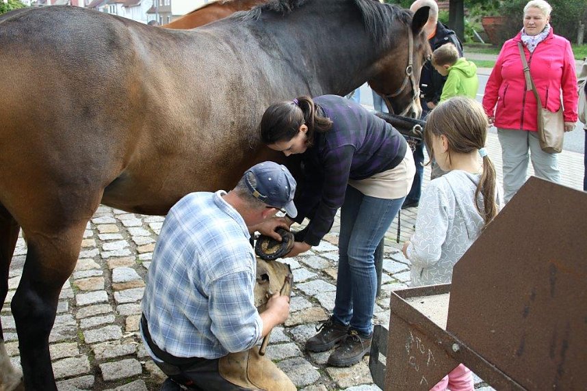Tag des offenen Denkmals in der Alten Schmiede in Obergebra