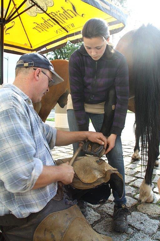 Tag des offenen Denkmals in der Alten Schmiede in Obergebra