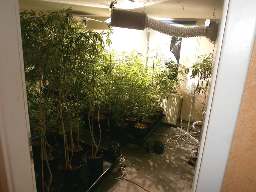 Schlag gegen Drogenszene