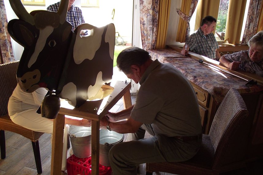 Peter�Roick�aus Sondershausen muss sich im Melken noch &uuml;ben. Er hatte es beruflich auch nicht mit K&uuml;hen zu tun.