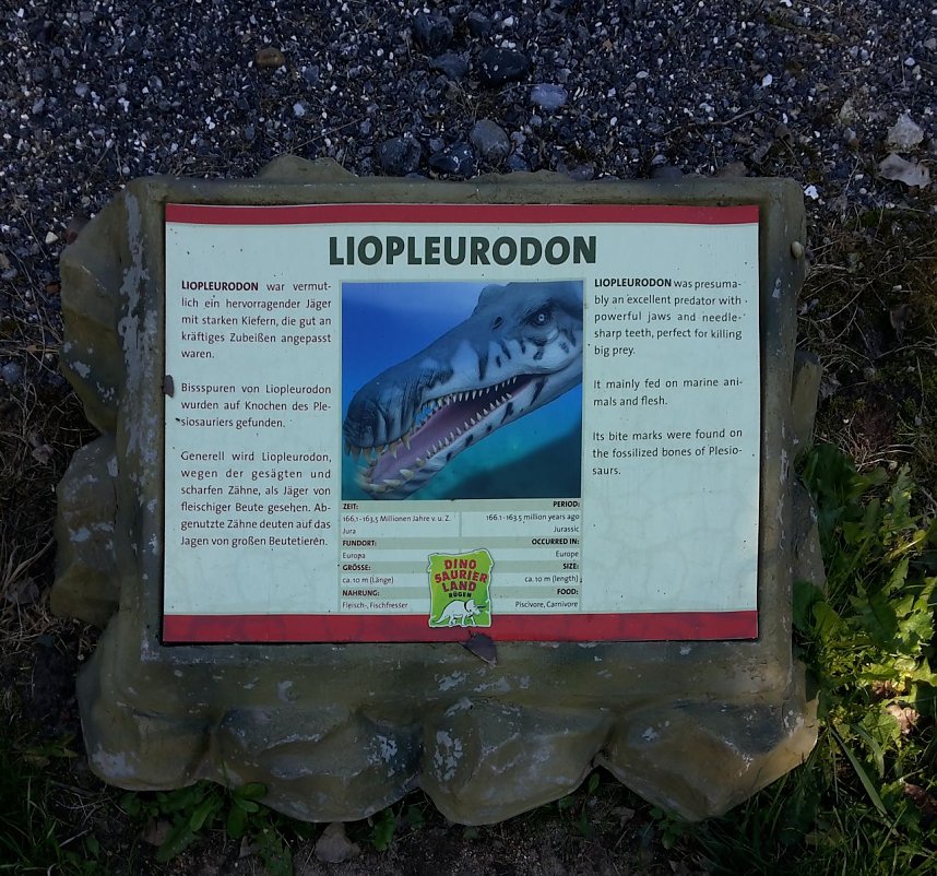 Dinosaurier auf R&uuml;gen