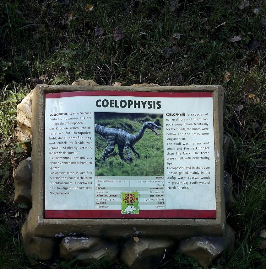 Dinosaurier auf R&uuml;gen