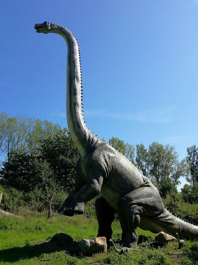 Dinosaurier auf R&uuml;gen