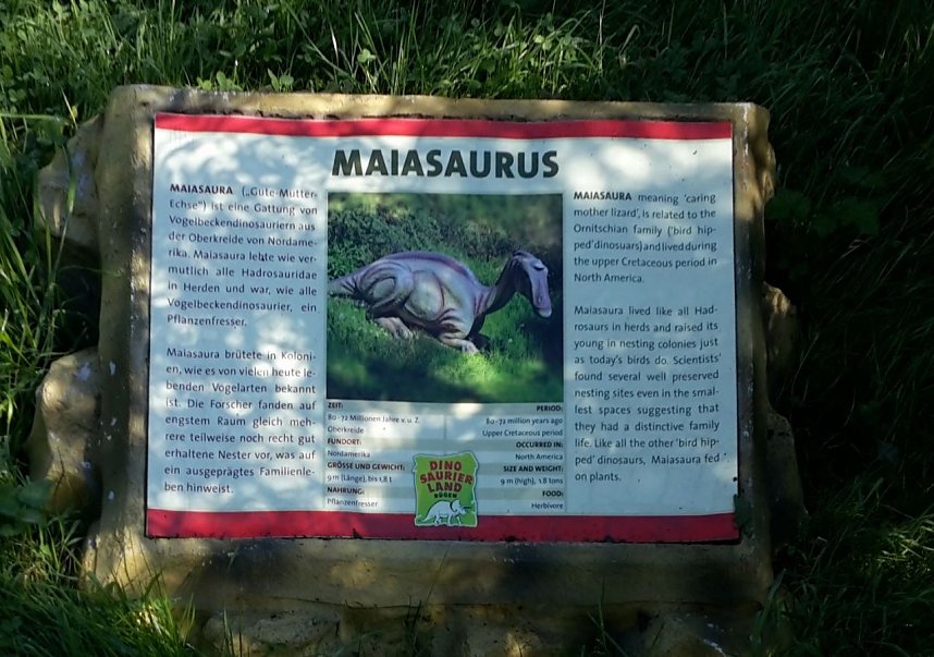 Dinosaurier auf R&uuml;gen