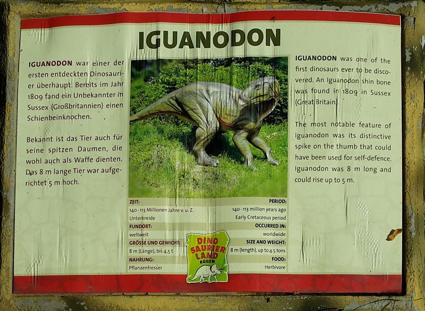 Dinosaurier auf R&uuml;gen