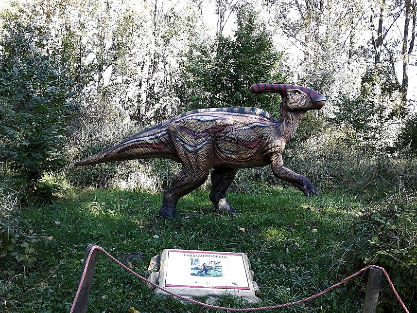 Dinosaurier auf R&uuml;gen
