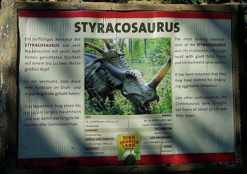 Dinosaurier auf R&uuml;gen