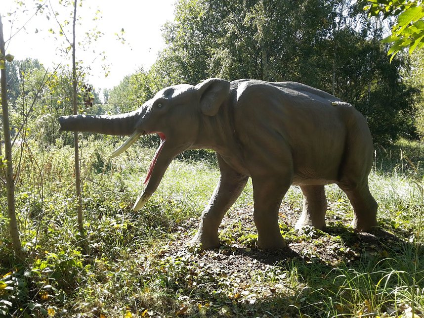 Dinosaurier auf R&uuml;gen