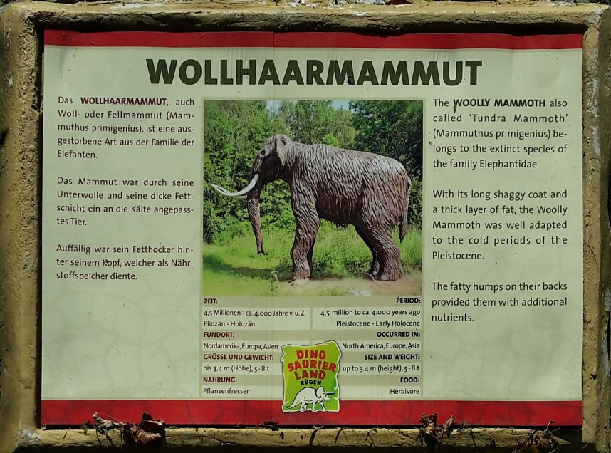 Dinosaurier auf R&uuml;gen