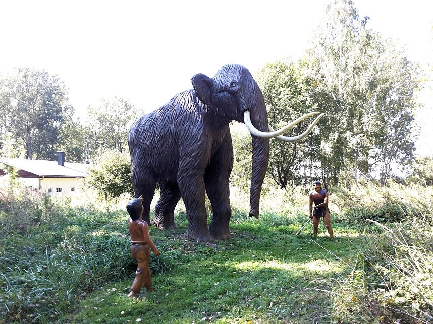 Dinosaurier auf R&uuml;gen