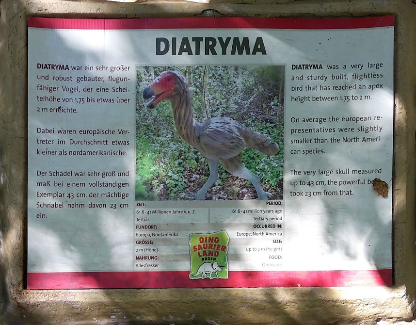 Dinosaurier auf R&uuml;gen