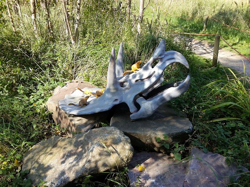 Dinosaurier auf R&uuml;gen