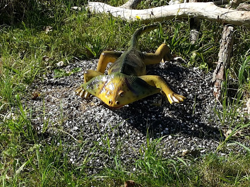 Dinosaurier auf R&uuml;gen