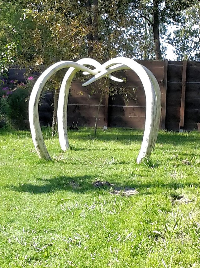 Dinosaurier auf R&uuml;gen