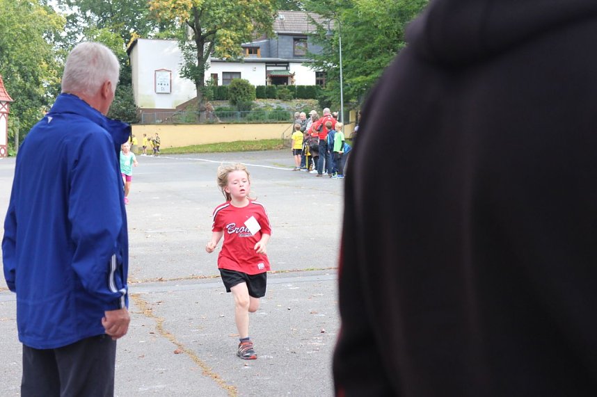 Herbst-Crosslauf im Gehege