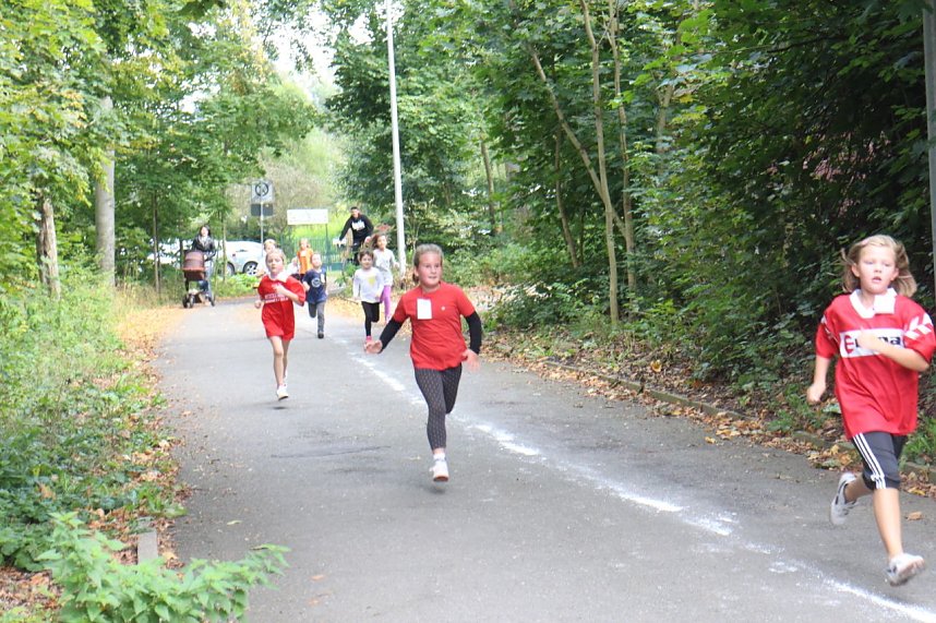 Herbst-Crosslauf im Gehege