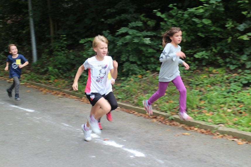 Herbst-Crosslauf im Gehege