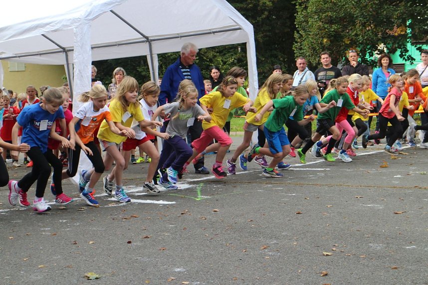 Herbst-Crosslauf im Gehege