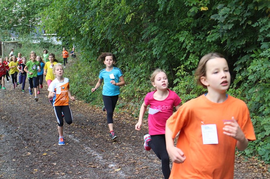 Herbst-Crosslauf im Gehege