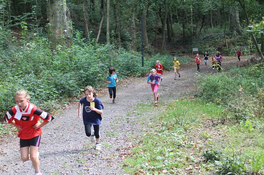 Herbst-Crosslauf im Gehege