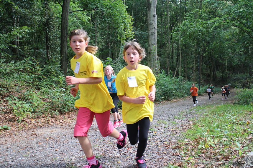 Herbst-Crosslauf im Gehege