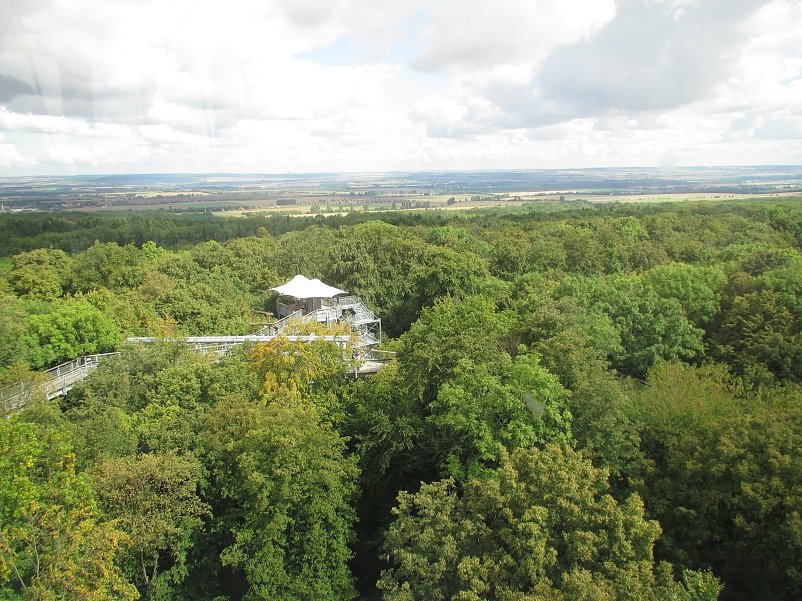 LISA auf dem Baumkronenpfad