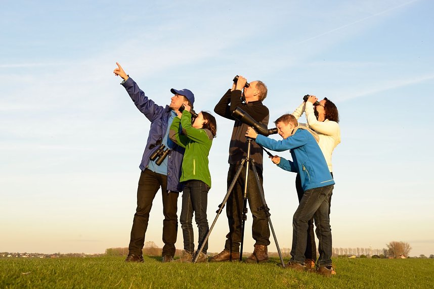 Zugv&ouml;gel erleben