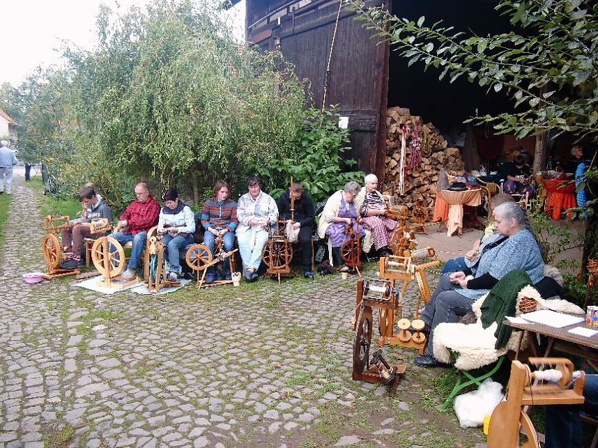 Erster Spinnk&ouml;nig gek&uuml;rt