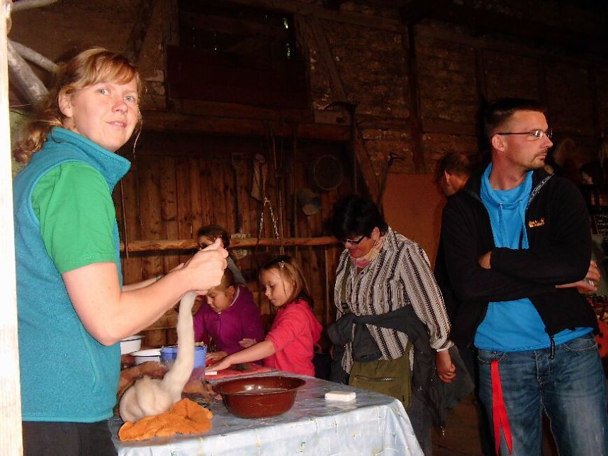 Erster Spinnk&ouml;nig gek&uuml;rt