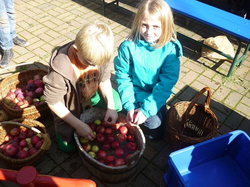 Apfelernte in Harzrigi