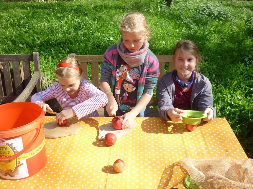 Apfelernte in Harzrigi