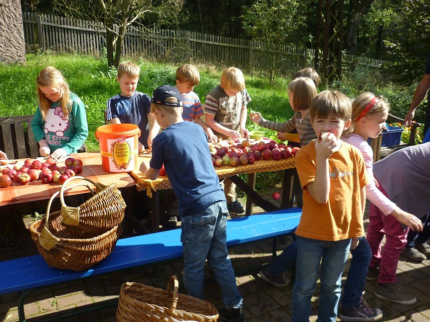 Apfelernte in Harzrigi