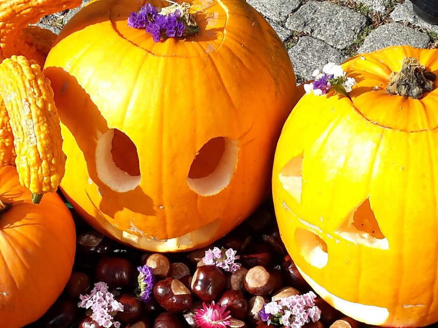 Der etwas andere Markt