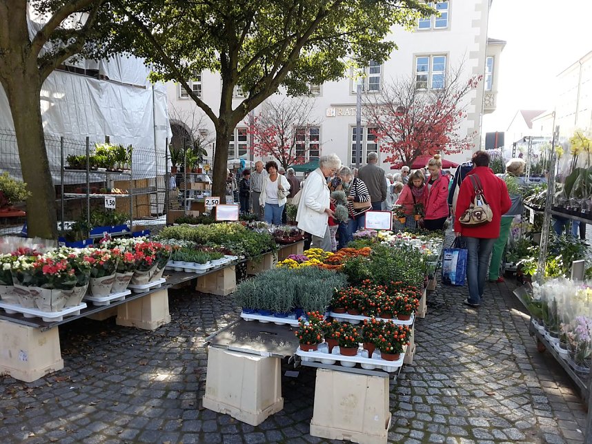 Der etwas andere Markt