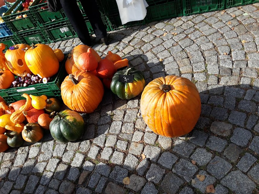 Der etwas andere Markt