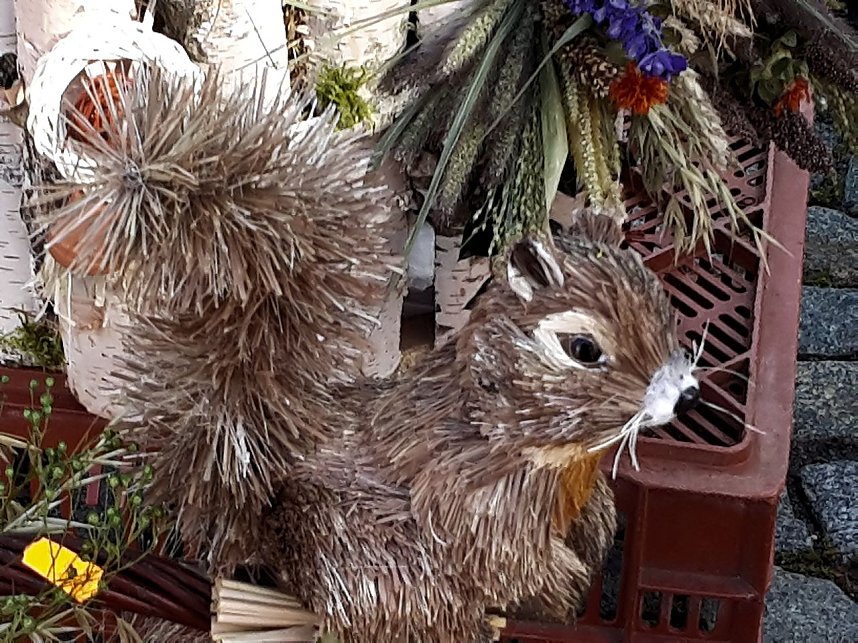 Der etwas andere Markt