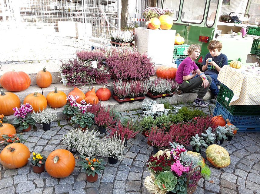 Der etwas andere Markt