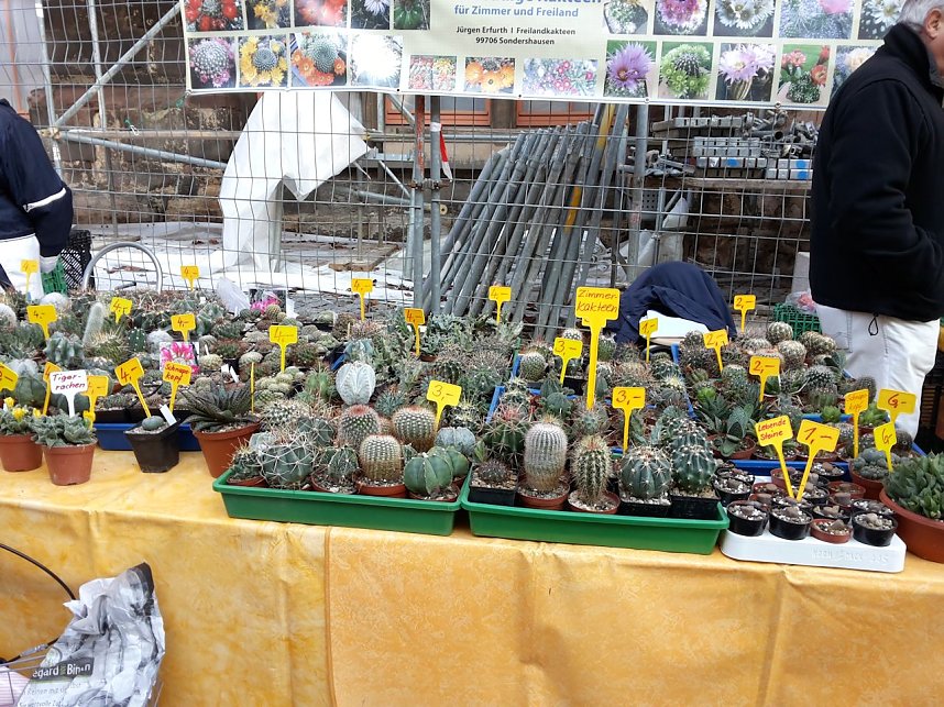 Der etwas andere Markt