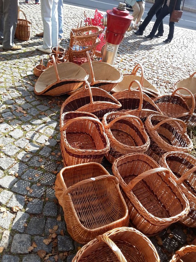 K&uuml;rbisse und Zwiebeln