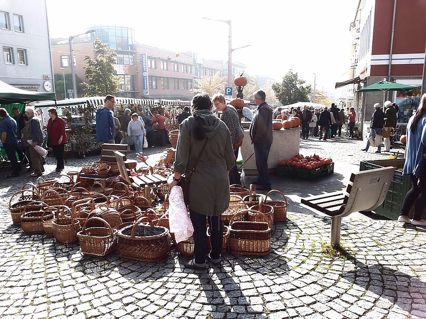 K&uuml;rbisse und Zwiebeln